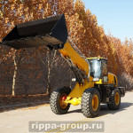 Телескопический погрузчик RIPPA R935T